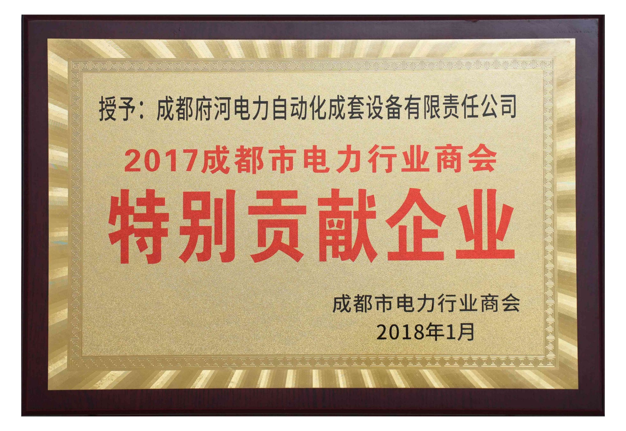2017成都市電力行業(yè)商會 特別貢獻(xiàn)企業(yè)